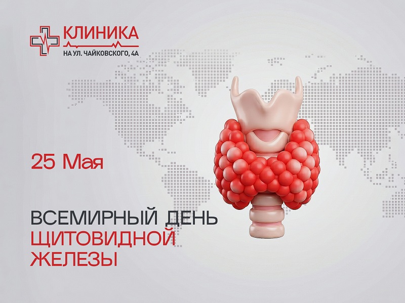 25 мая – Всемирный день щитовидной железы!